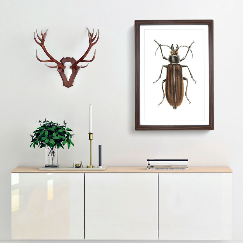 Beetle by George Shaw - Framed Print, 50cm H x 35cm W x 2cm D, Walnut