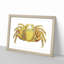 Crab by George Shaw - Framed Print-55621258-55621259