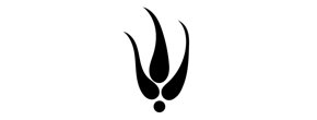Logo Mark Turk Way