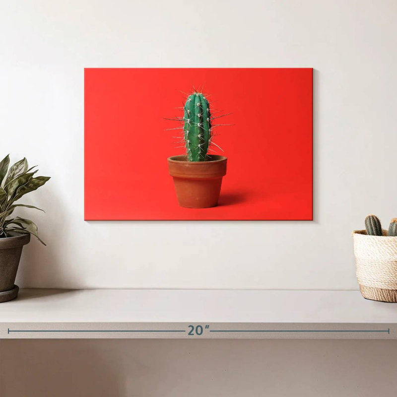 Cactus en pot Harnek, H 8 po x l 12 po