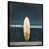 Black Floater Framed
