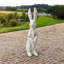 Animals Resin Garden Statue-1981266210
