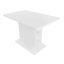 Extendable Dining Table-1795985630
