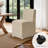 Upholstered Dining Chairs with Casters, Modern Single Sofa Chair with Slient Wheels for living room, Arrived Assembed-721048623-709477052