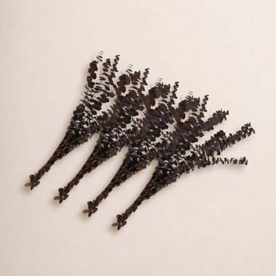 Dried Preserved Baby Eucalyptus Stems