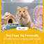 3 Tier Wooden Hamster Cage with Hut Wheel Ramps 100 x 50 x 84 cm