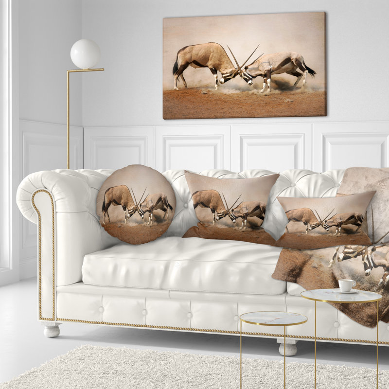 Coussin lombaire gemsbok antelopes combat wall