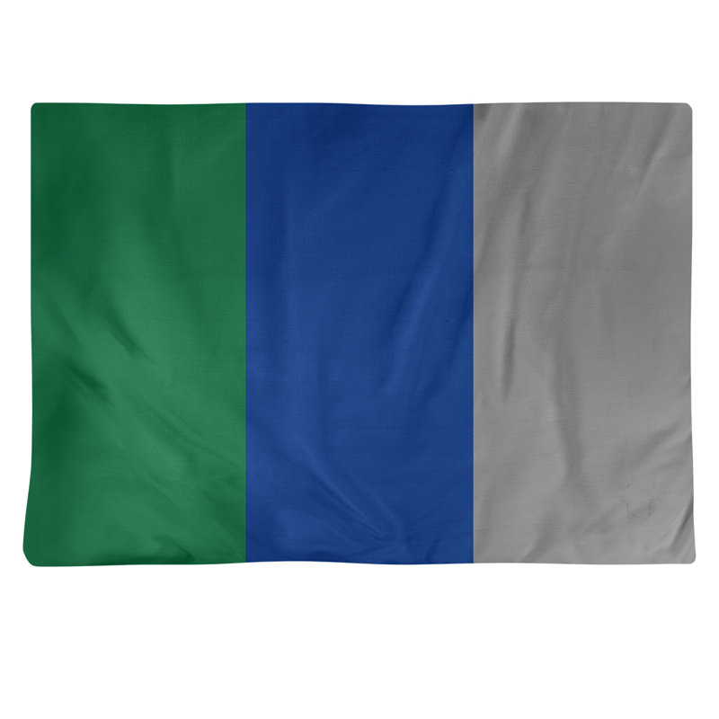 Récapitulatif en coton 18" retour football Seattle, Bleu ciel