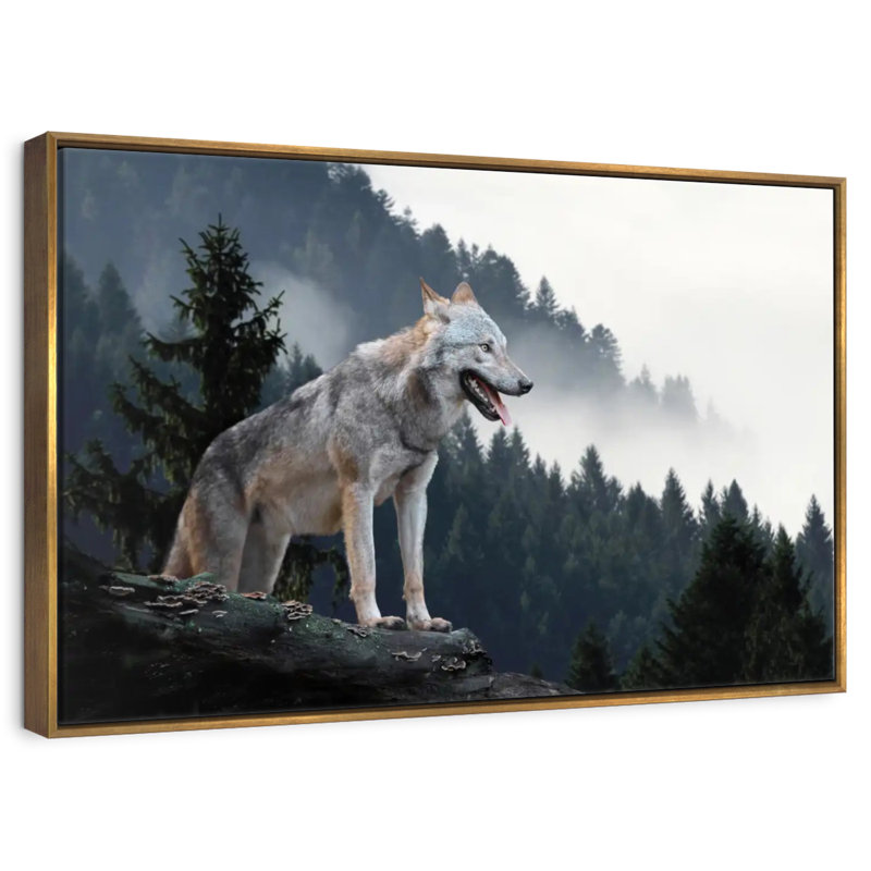 Loup des bois sur la montagne, Cadre flottant doré, 40 po x 27 po