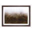 Lappach Forest in Italy - Picture Frame Painting Print-56705092-56705093