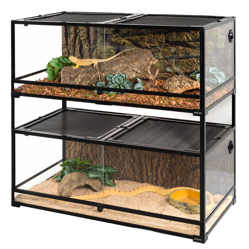 Reptile Starter Kit