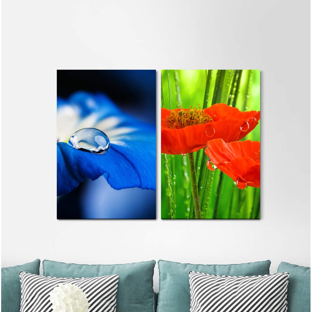 2-tlg. Leinwandbilder-Set - Fotografie „Blue Flower Water Drops Poppy Flower Blossom”