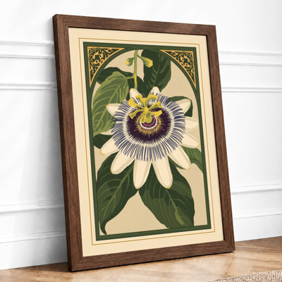 Passion Flower Study Botanical - Framed Print