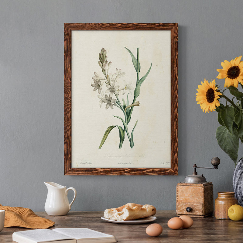 Toile encadrée de qualité supérieure Traditional Botanical IV - prête à être accrochée, H 32 po x l 23 po x P 1 po, Érable