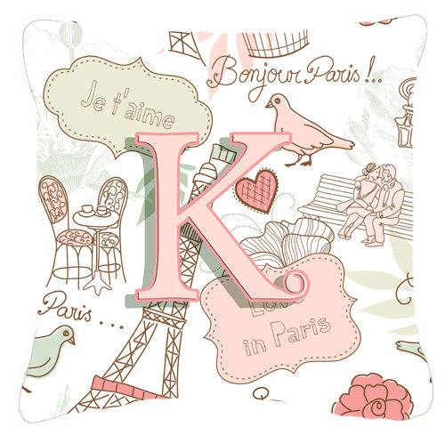Lettre Love in Paris intérieur/extérieur Throw Pillow, C, 14" H x 14" L x 4" D