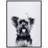 " Yorkshire Terrier " by Jodi P.