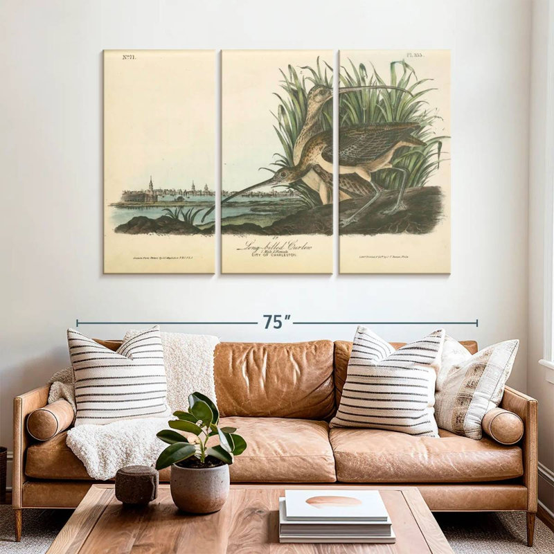 Brampt Long-Billed Curlew, 42" H x 65" W