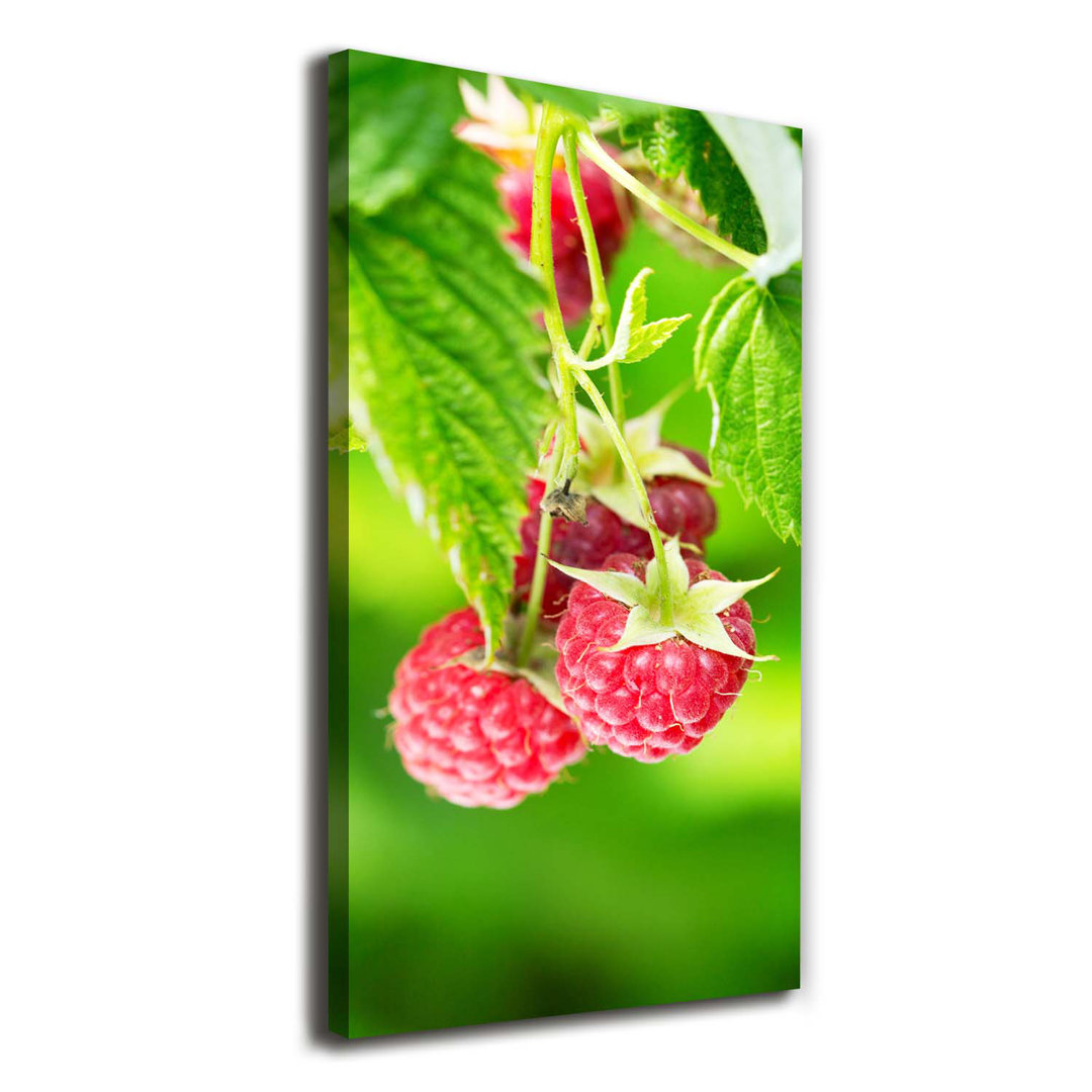 Himbeeren auf dem Busch - Kunstdrucke auf Leinwand - Wrapped Canvas