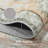 Bohemian Style Indoor Carpet, Non-Slip And Machine Washable-913223859