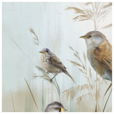 Birds On Grass Stems Blankets