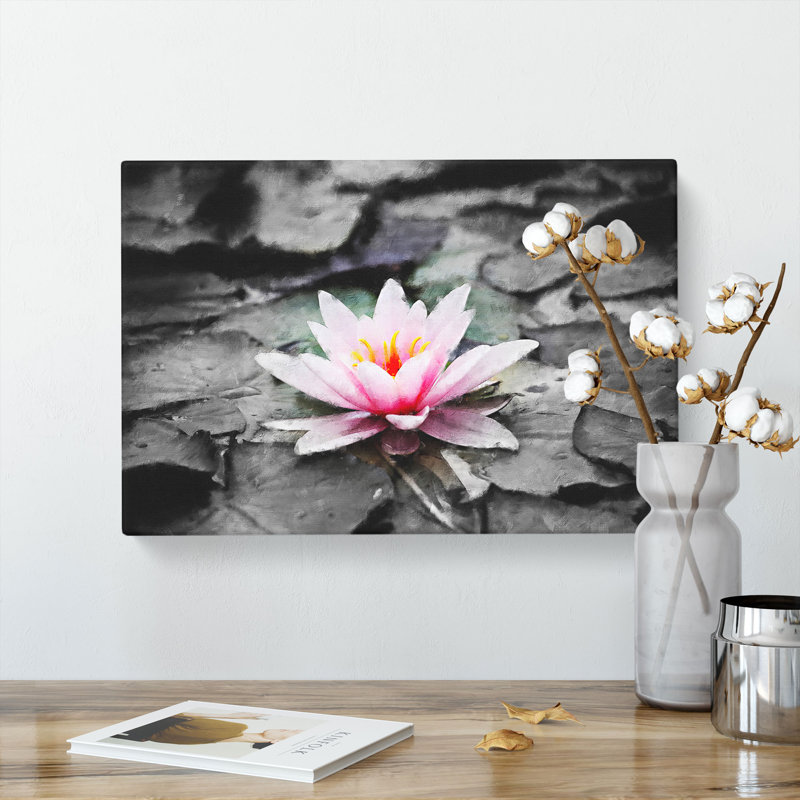 A Pale Pink Water Lily - Wrapped Canvas Painting, 30cm H x 45cm W x 4cm D