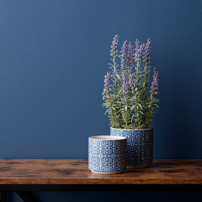 Chayne Ceramic Pot Planter