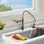 Robinet de cuisine à un trou à poignée simple avec bec verseur d'eau purifiée Topcraft-94118632