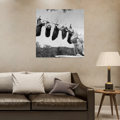 1950S Mother Cocker Spaniel Dog Tending Her 4 Puppies Hanging In Socks On A Laundry Clothesline Classic Retro Vintage Dog Wall Art