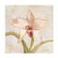 Art mural sur toile «Trademark Fine Art Cheri Blum Orchid I»-101101183