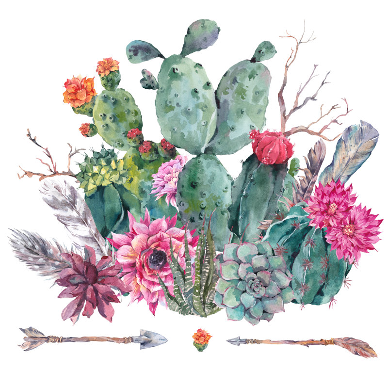 Watercolor Cactus, Succulent, Flowers by Princessmaro - Wrapped Canvas Painting, 30cm H x 30cm W x 3.8cm D