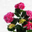 90cm Faux Flowering Plant in Pot Liner-75959758