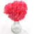 Rose millennial est en rupture de stock