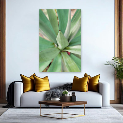 Agave succulent # 2 - art floral et nature morte, feuilles, art