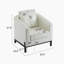 Fauteuil club Anurudh