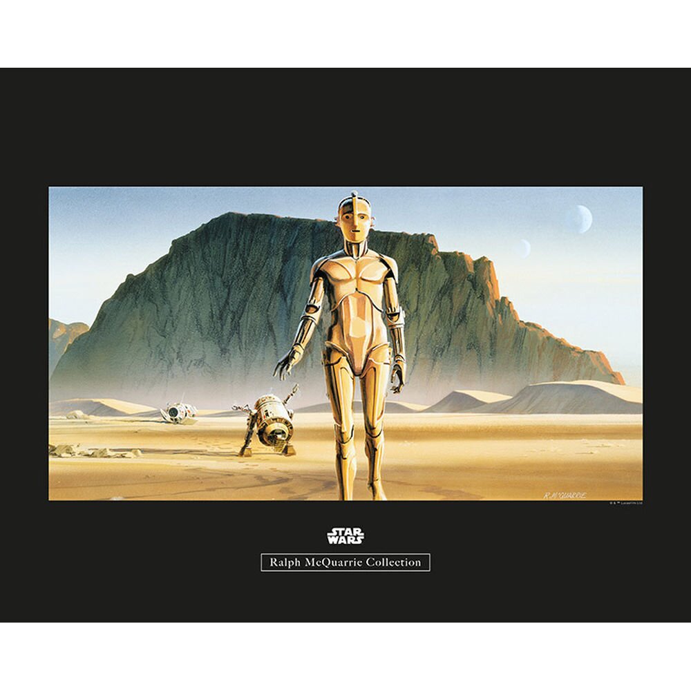 Poster Star Wars Rmq Droids