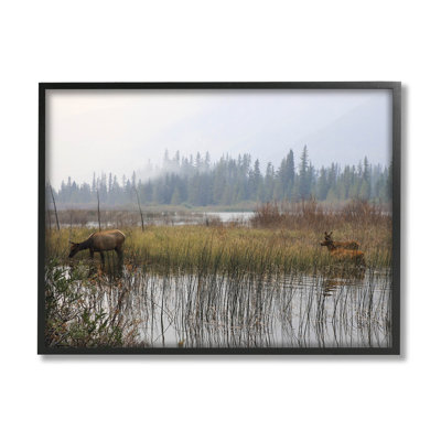 " Animals Grazing Creek Landscape " by Carol Robinson