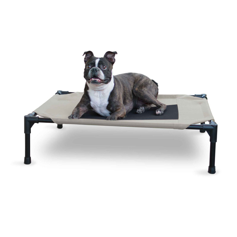 Polyester Pet Bed, Medium (32" W x 25" D x 7" H), Taupe/Black
