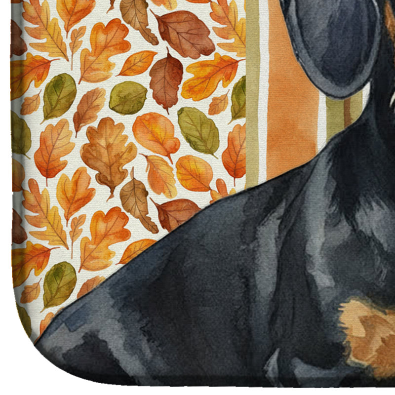 Tapis de séchage d'automne à poil dur noir et brun teckel