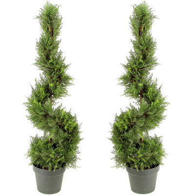 Topiaire cypress leave spirale dans un panier