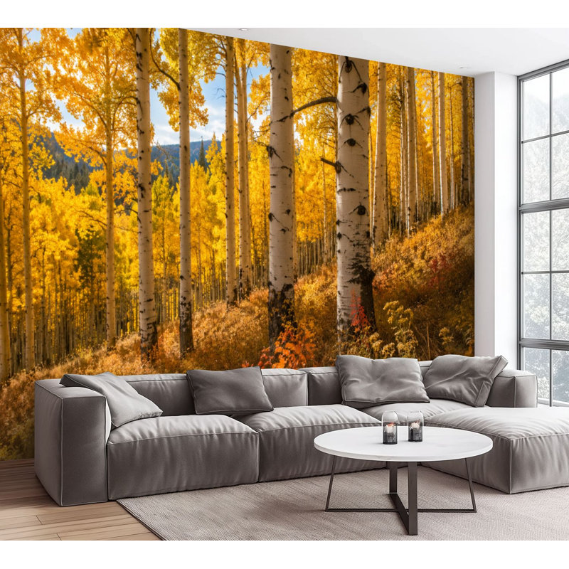 Papier peint adhésif autocollant Aspen Trees Fall, L 100,08 po x l 144 po