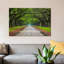 Oak Avenue, Wormsloe Plantation, Savannah, Georgia, USA by Joanne Wells - Print on Canvas-1926666600-1926666567
