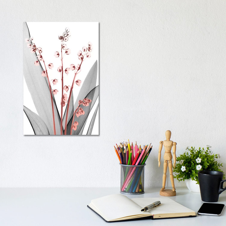 Lily Of The Blush II by Albert Koetsier - Wrapped Canvas Print