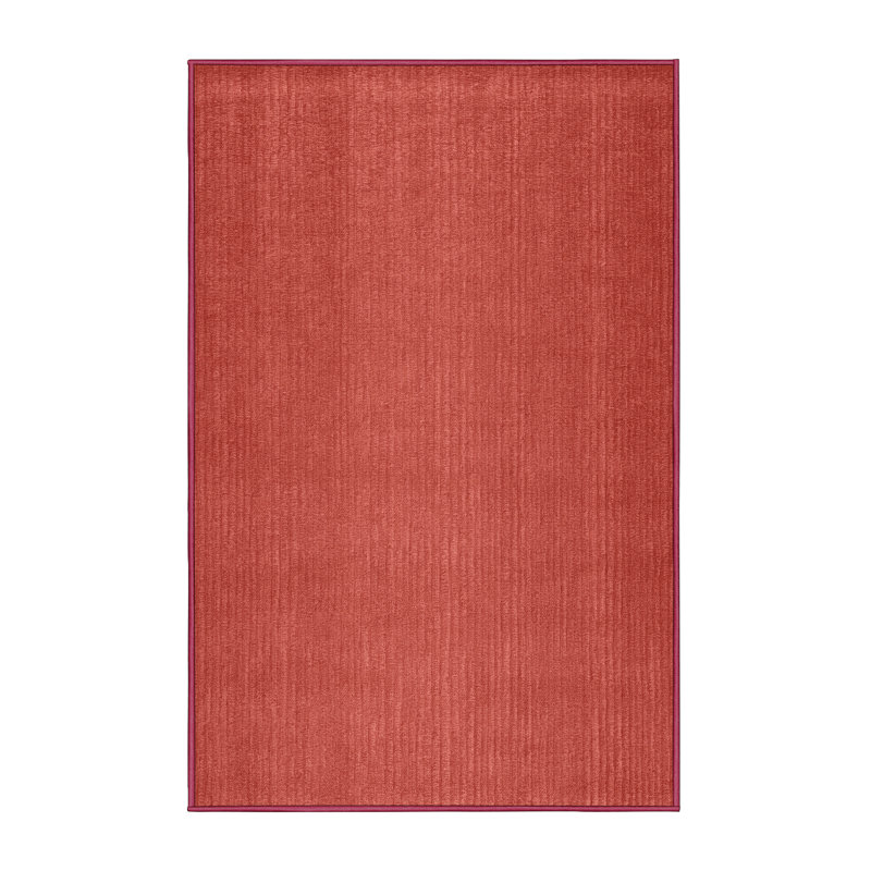 Machine Washable Solid Red Area Rug, Rectangle 2' x 3'