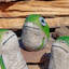 Grenouille solaire avec yeux lumineux (ensemble de 3)