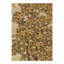Wool Oriental Area Rug in Beige