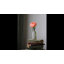 Peony Arrangement-1393668536