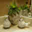 Customer photo 1 of 4