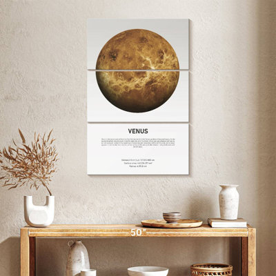 Oberle Venus Light