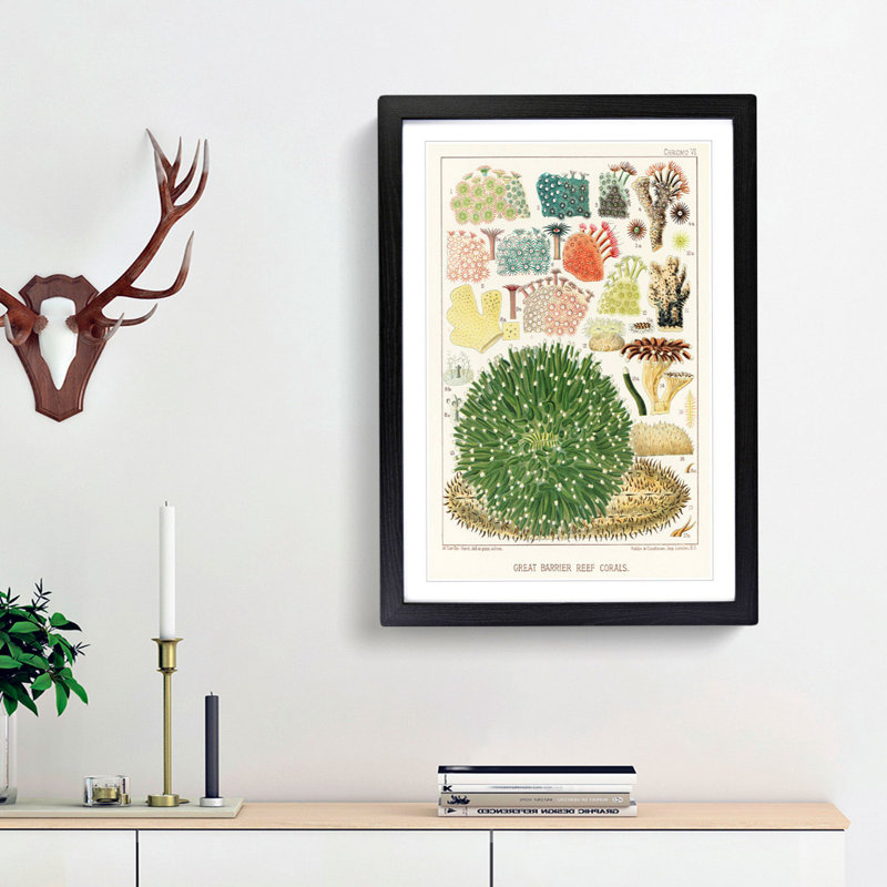 Great Barrier Reef Corals by W. Saville-Kent - Picture Frame Painting Print, 65cm H x 48cm W x 2cm D, Black Framed