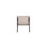 Ammon Velvet Side Chair